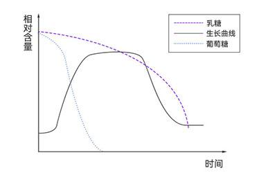 大肠杆菌在不同培养基中的生长 大肠杆菌在不同培养基中的生长